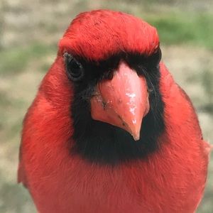 Meet your Posher, Robert